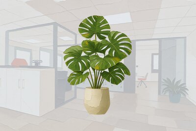 Plante gros pot