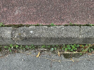 Bordure