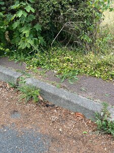 Bordure beton