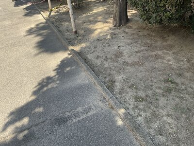Bordure béton