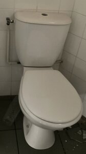 WC sur pied