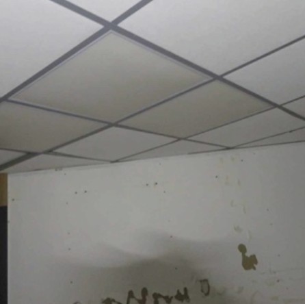 Dalle LED - Bureaux B1