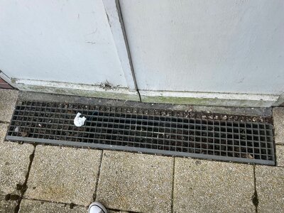 Grille