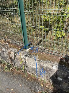 Grillage périphérique du site
