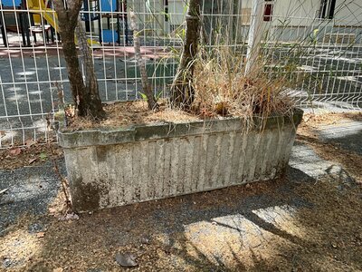 Pot / bac à végétaux / jardinière